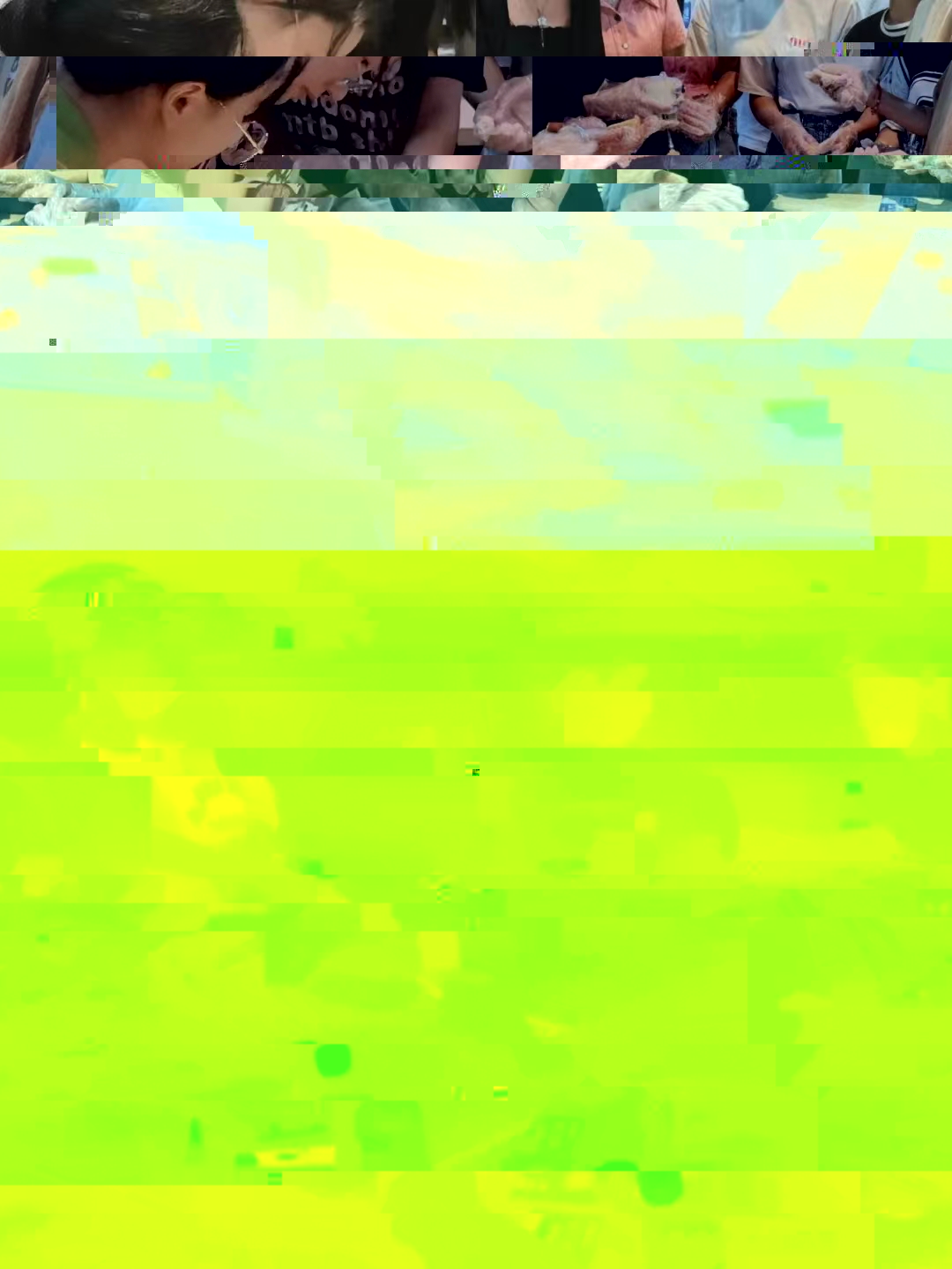 DE0A3 DE0A3